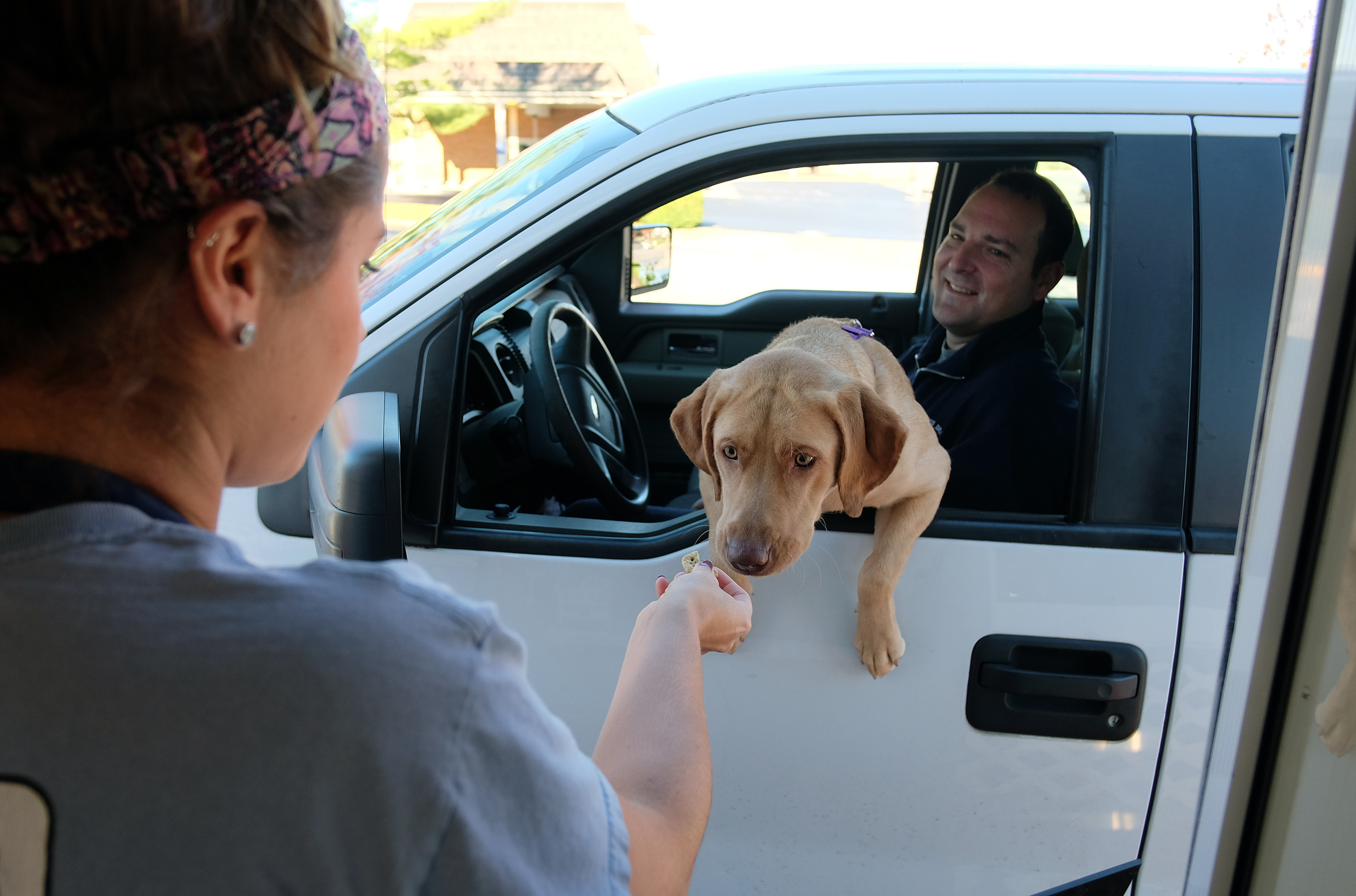 Kelsey Shreckhise, manager of Micah's Coffee gives a dog a treat, Waynesboro, Va. Thursday Nov. 10, 2016. (Photo by Norm Shafer).